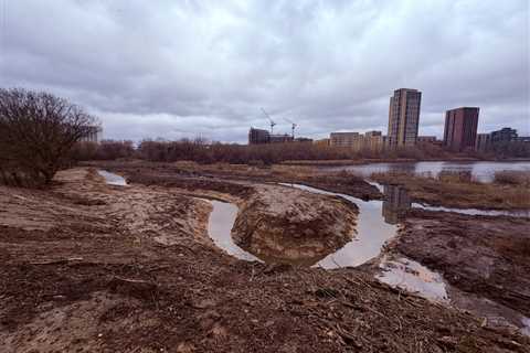 Cropped 17 December 2025: ‘Deadly’ Asia floods; Boosting London’s water birds; UN headwinds