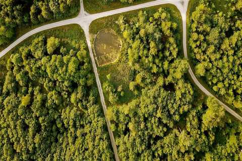 Governance in Southern California: Successful Sustainability Initiatives and Their Impact