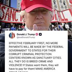 Understanding Sanctuary Cities