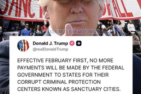 Understanding Sanctuary Cities