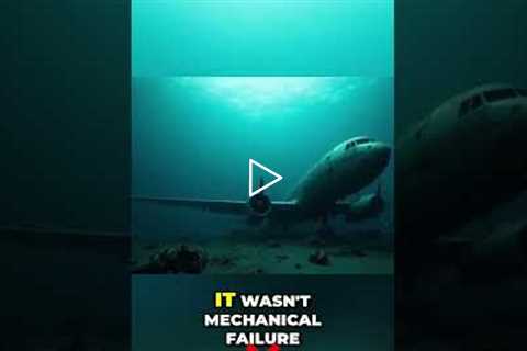 Air France 447: Human Error That Shattered Aviation #shorts