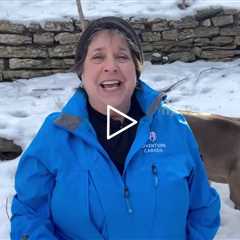 Faith and Nice Nails - Intro