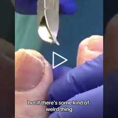 I Had MORE Neanderthal DNA Than 97% of People?! 🧬😳