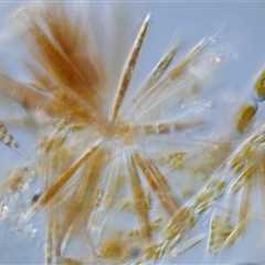 It’s been a long time since I posted here!