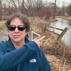 She Hasn't Been Here in Almost a Year - Intro