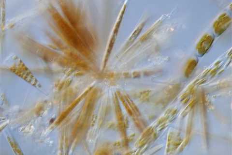 It’s been a long time since I posted here!