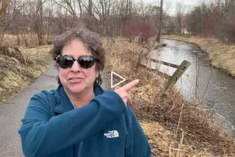 She Hasn't Been Here in Almost a Year - Intro