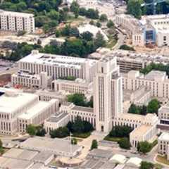 Team Trump Issues Stinging Response After Online Leftists Spread a Big Lie About the President and..