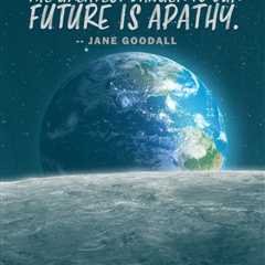 Earth911 Inspiration: The Greatest Danger to Our Future Is Apathy