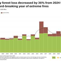 Brazil leads “encouraging” decline in global rainforest destruction in 2025