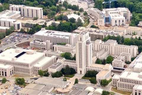 Team Trump Issues Stinging Response After Online Leftists Spread a Big Lie About the President and..