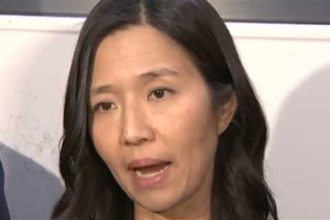 Program Under Far-Left Boston Mayor Michelle Wu Gives Vouchers to ‘Queer and Trans Migrants’ for..