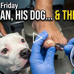 FEET-ure Friday |  Man, His Dog and His Toenails -- Painful Toenails + A Special Guest 🐾