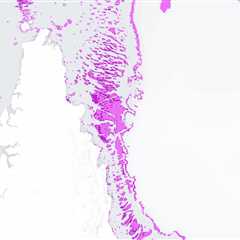 Cropped 17 June 2026: Coral reef ‘hope’ | Ocean talks | Plant flowering times ‘shift’