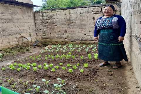 In Guatemala, Indigenous women build climate resilience with old and new farming methods