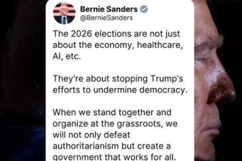 What the 2026 Midterms Are Really About